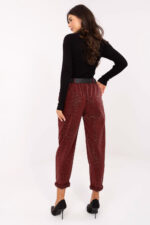 Spodnie Damskie Model IT-SP-242976.29P Bordo - Italy Moda -3